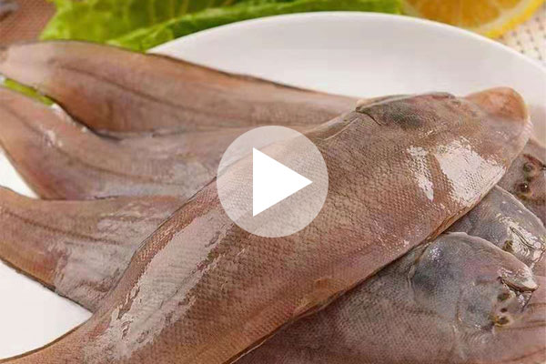 舌鰨魚為什么高檔？剝去魚皮就明白了